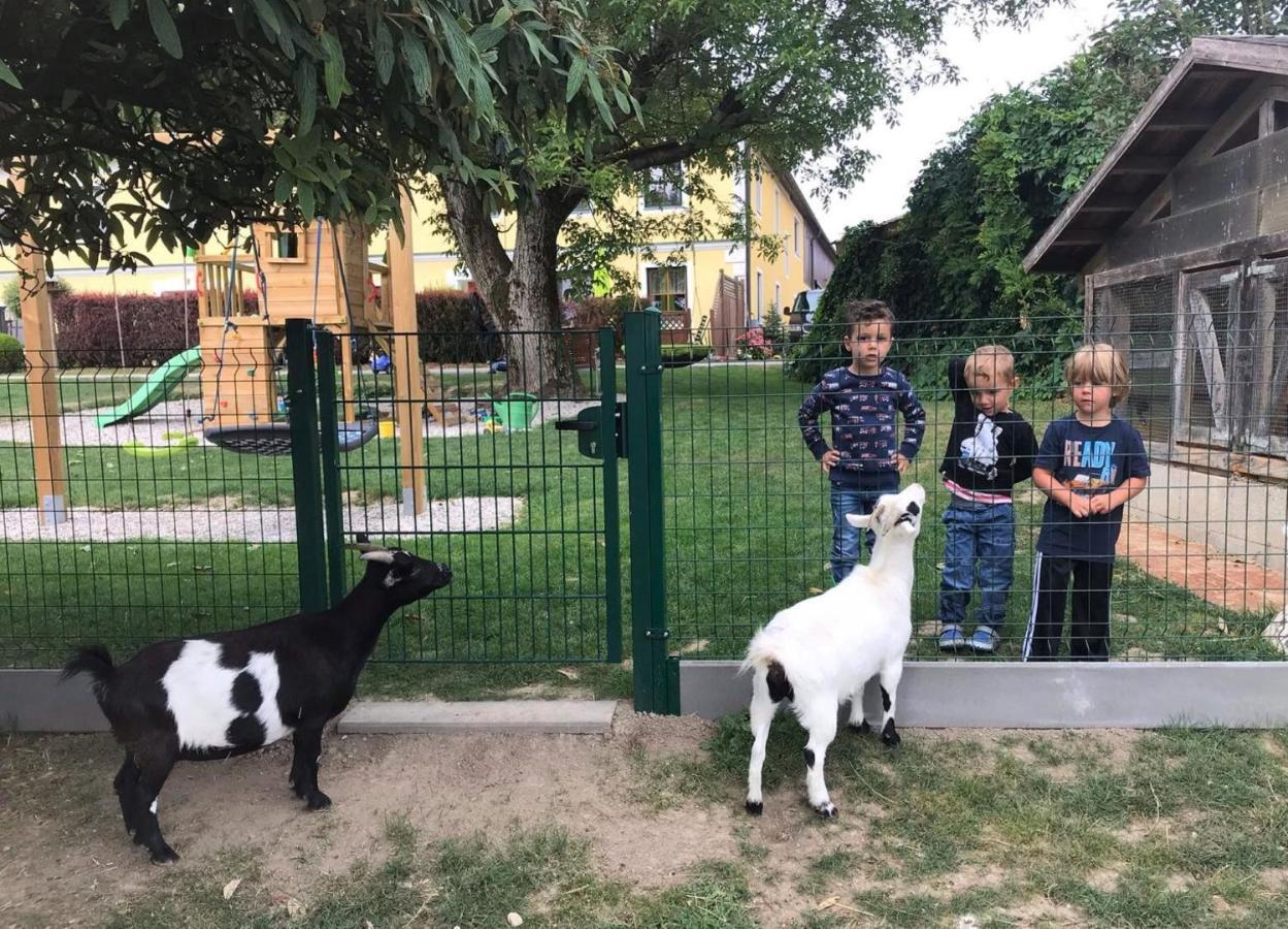 Familienbauernhof Strassbauer Βίλα Steinakirchen Am Forst Εξωτερικό φωτογραφία